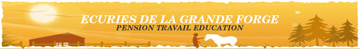 ECURIES DE LA GRANDE FORGE